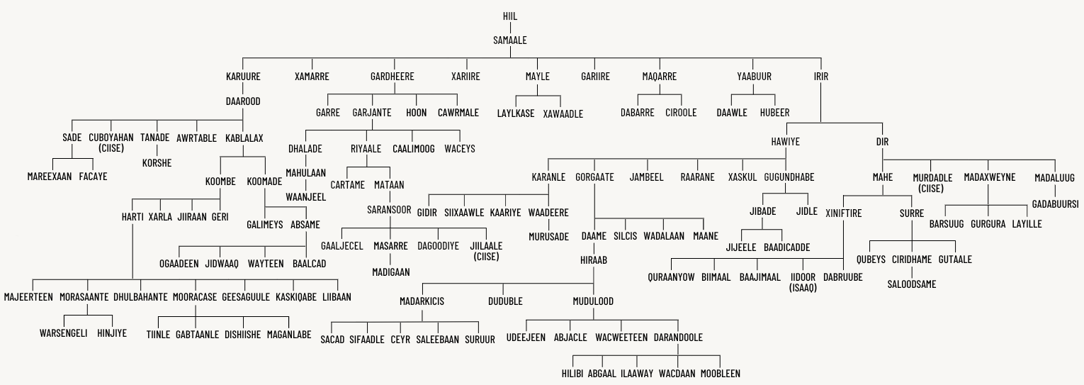 Le Génosociogramme : une carte vivante de votre système familial